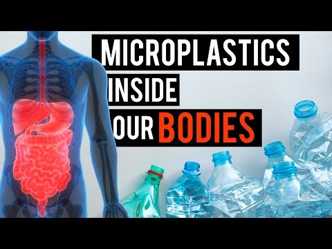 Disturbing Discovery Of Microplastics Inside Our Bodies