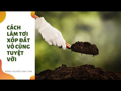 Video: Đất vườn nên tơi xốp như thế nào?