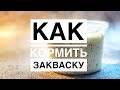 Как кормить закваску