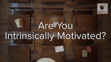 Are You Intrinsically Motivated?