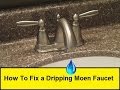 How To Fix a Dripping Moen Faucet (HowToLou.com)