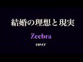 結婚の理想と現実 / Zeebra / cover / karaoke  @FIZZch