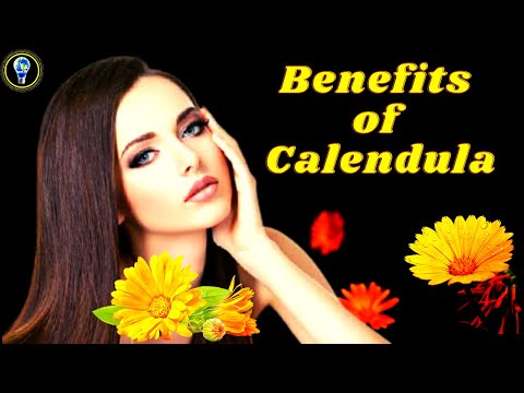 Video: Calendula Flower: Hoe om Calendulas te groei