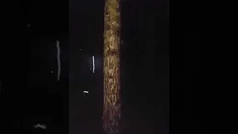 Alton Farm investigation 004