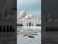 Sheikh Zayed Grand Mosque in Abu Dhabi #shorts