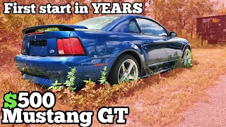 I Found an Mustang GT ABANDONED in a field and Bought it for $500! Will it Run???