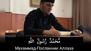 Сура 48 "Аль Фатх" аят 29 чтец: Абдул Азиз Элибиев