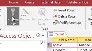Hướng dẫn thực hành Access - BTTH2, có nhập dữ liệu mẫu