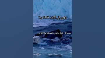 سورة الجن من الآية﴿١﴾ إلي الآية ﴿٤﴾ بصوت القارئ إسلام صبحي