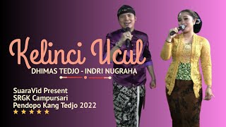 KELINCI UCUL - DHIMAS TEDJO FEAT INDRI NUGRAHA // SRGK CAMPURSARI PENDOPO KANG TEDJO 2022