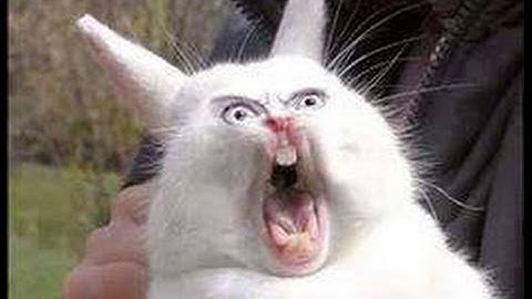 MineCraft Survival ft. Austin Ep.3 FCKING RESTART?! FCK U!! sorry ..