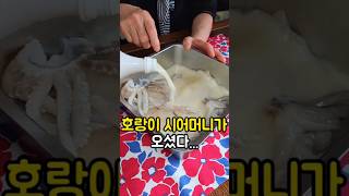 반찬가게보다 더 맛있는 시어머니 50년 오징어젓갈 레시피 #오징어젓갈 #오징어요리 #젓갈