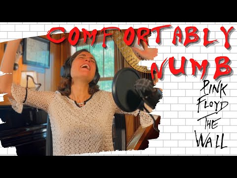 Pink Floyd, Comfortably Numb - A Classical Musician’s First Listen and Reaction