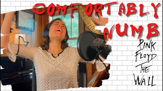 Pink Floyd, Comfortably Numb  A Classical Musician’s First Listen and Reaction