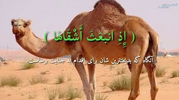 سوره شمس با ترجمه دری / تلاوت عالی سوره شمس / تلاوت پرسوز و با احساس سوره شمس