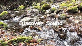 【睡眠用・作業用・リラックス用BGM】Stream Sound小川の音