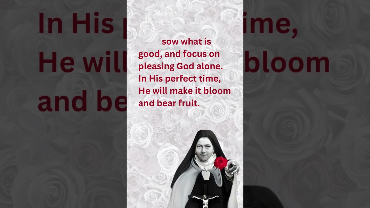 Trust God in Silence 🌸