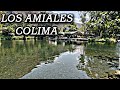 Video de Coquimatlan