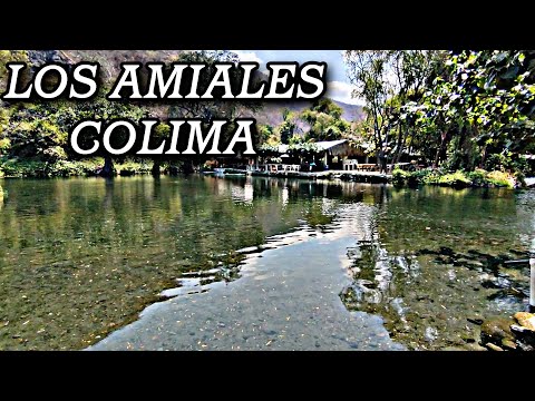 LOS AMIALES COQUIMATLAN Colima| Un paraíso de México NO PODREAS CREER LO BELLO DE ESTE LUGAR #colima