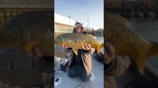 Are you a fishing addict? #shorts #fishing
