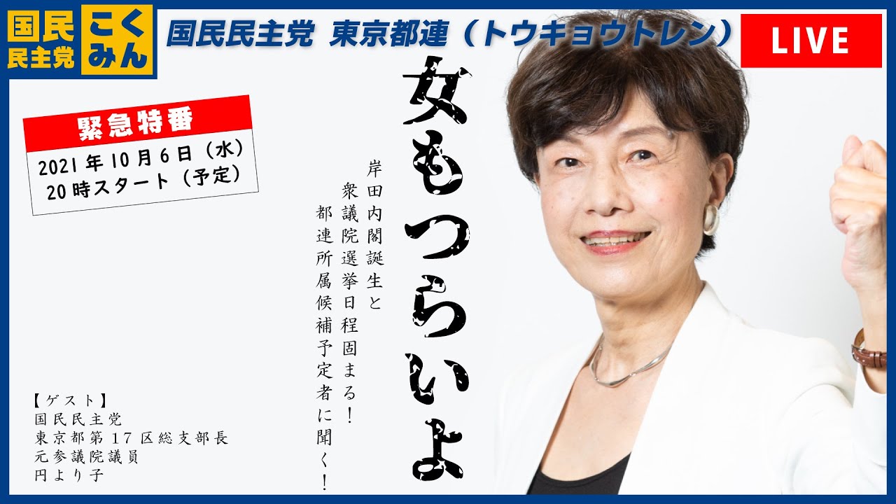 衆院選の女性候補 全体のわずか17 与党は1割未満 法整備追い風にならず 東京新聞 Tokyo Web