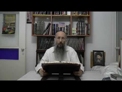 תניא 129 פרק לח. העלם והסתרה מול גילוי, לעומת צמצום מול התפשטות, בדומם צומח חי מדבר