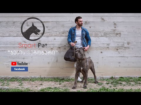 ჯესის მეგობარი