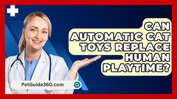 Can Automatic Cat Toys Replace Human Playtime? - PetGuide360.com