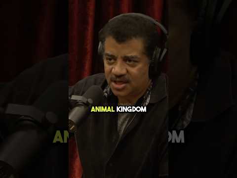 Are We That Distinct W Neil DeGrasse Tyson 