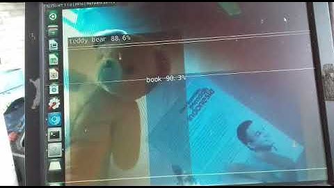 detectnet Jetson Inference