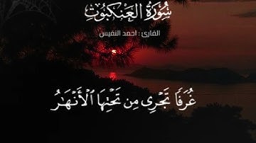 {{وقالوا لولا أنزل عليه آيات من ربه قل إنما الآيات عند الله وإنما أنا نذير مبين}جزء/٢١/الآيه/50-69/