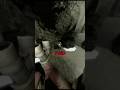 This Roblox SWAT game has you clearing a facility filled .#roblox games#robloxfyp #robloxgametoplay