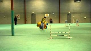 DSCN2224.AVI