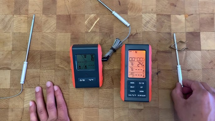 The ThermoPro DP20 Wireless Meat Thermometer Turned Me Into a Grill Master  • Hop Culture