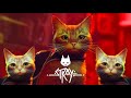 Ngabuburit Berpetualang Bersama Kucing Imut - Stray (E3)