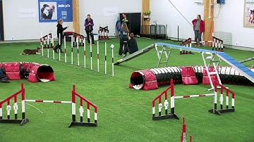 International Agility Training Week - Timig of CCC in False Turn - preview