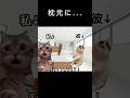 また枕元にあったあの物体笑 #おもしろ #恋愛 #猫 #funny #cat #猫ミーム