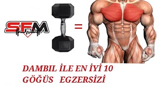 Göğüs Antrenmanı Dambıl Ile En Iyi 10 Göğüs Hareketi Sporfit Motivasyon