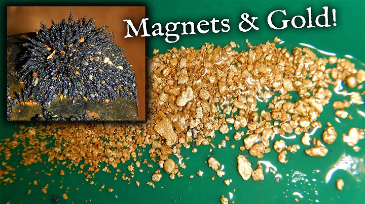 Prospecting for gold using MAGNETS.....!?