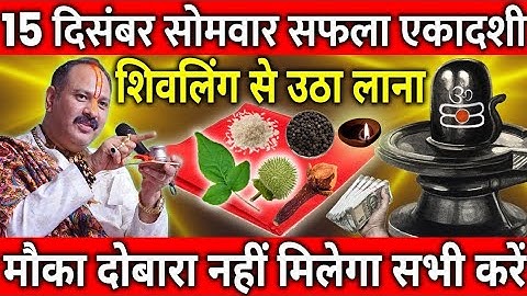 15 दिसंबर सोमवार सफला एकादशी व्रत शिवलिंग से चुपचाप उठा लाना ये गुप्त चीज || Pradeep Ji Mishra