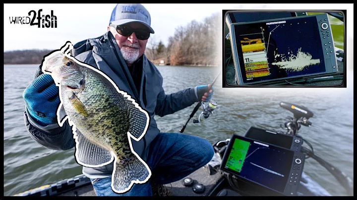 How to Catch Crappies on Brush Piles with Jigs and...