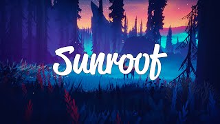 Nicky Youre, dazy - Sunroof (Lyrics) Powfu, beabadoobee, Anne Marie,...