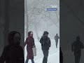 Manhattan knows how to make the most of a snowstorm