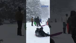 Manhattan knows how to make the most of a snowstorm