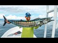 Deep Sea Fishing for WAHOO (Catch Clean Cook) | Field Trips Panama