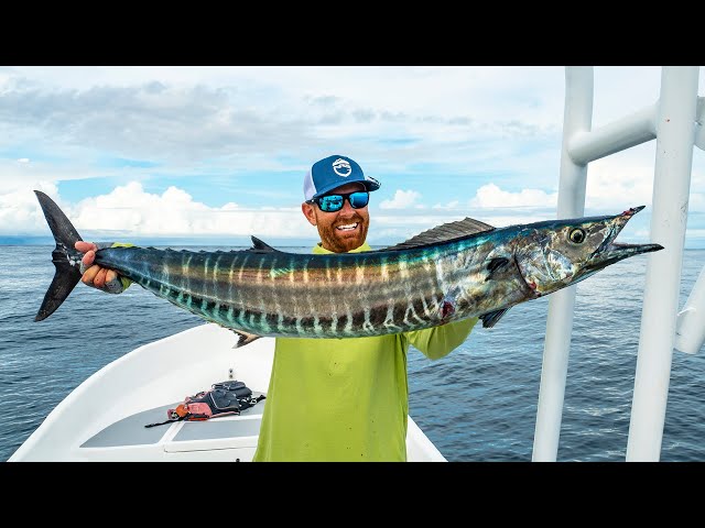 Deep Sea Fishing for WAHOO (Catch Clean Cook)