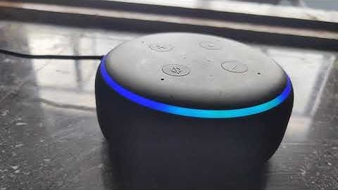 Funny Things to Ask Alexa - Digital