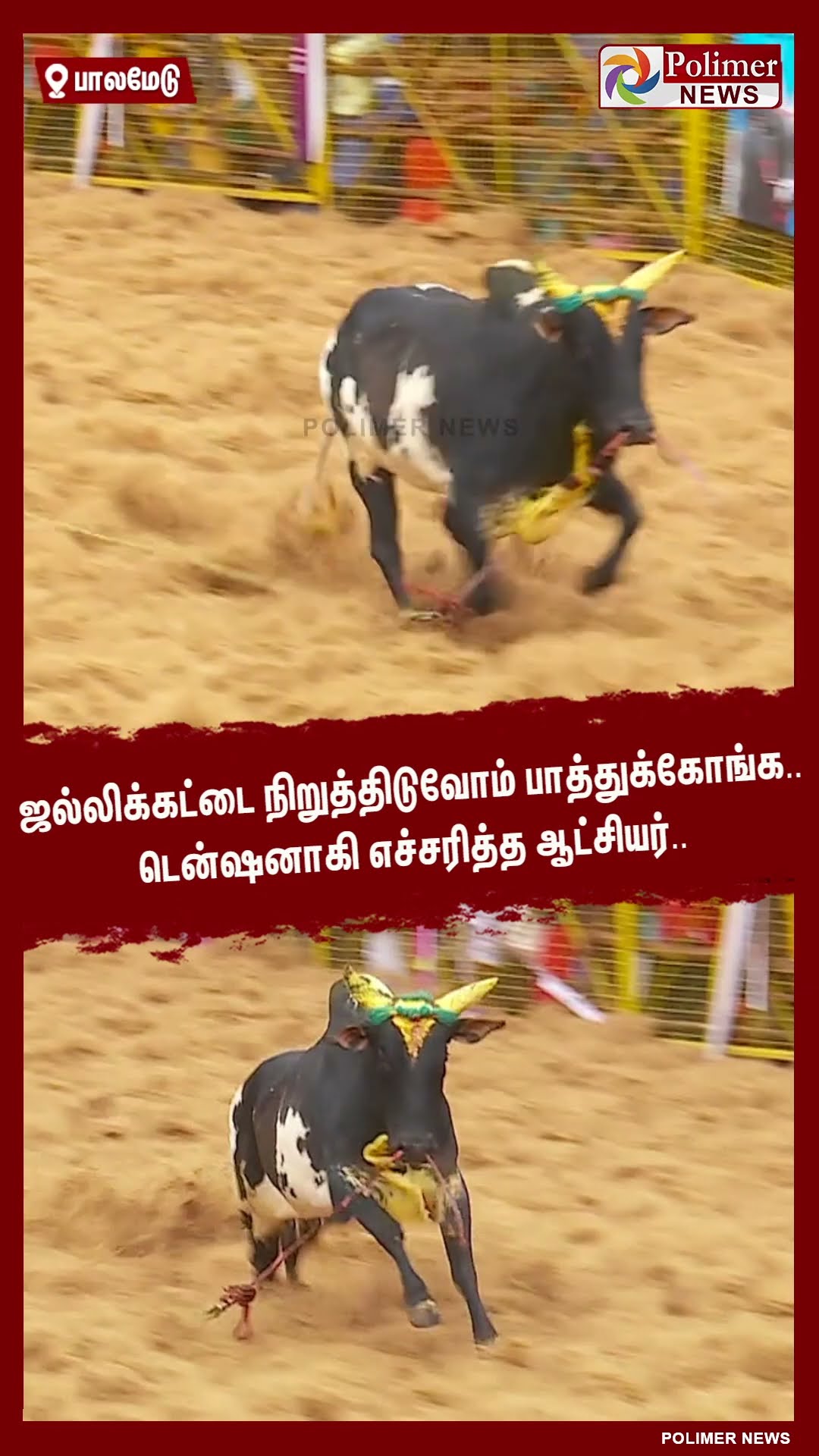 ஜல்லிக்கட்டை நிறுத்திடுவோம்.. டென்ஷனாகி எச்சரித்த ஆட்சியர்..#shorts | #palamedujallikattu