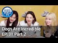 Dogs are incredible | 개는 훌륭하다 EP.31 Part 2 [SUB : ENG,CHN/2020.06.24]