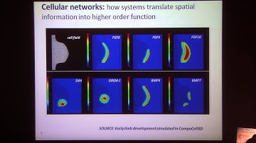 Virtual Embryo: Computational Embryonology And Predictive Toxicology - Tom Knudsen